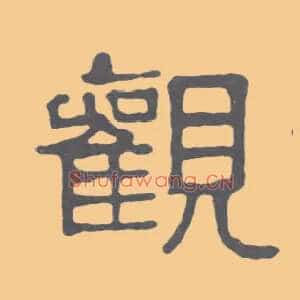 观