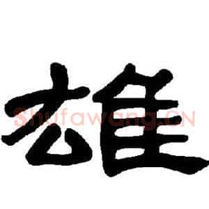 雄