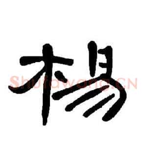 杨