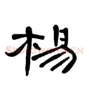 楊