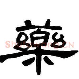 药