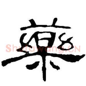 葯