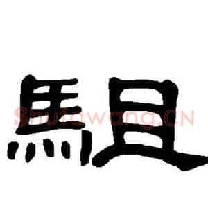 驵