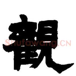 观
