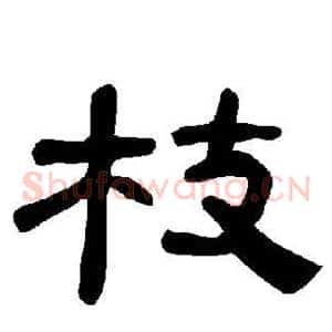 枝
