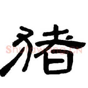 豬