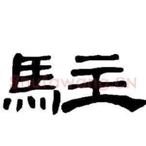 驻