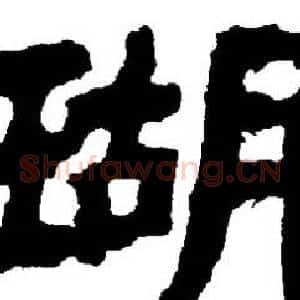 瑚