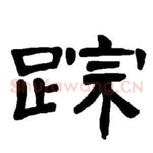 踪