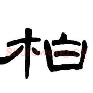 柏