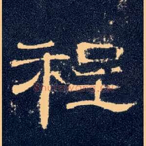 程