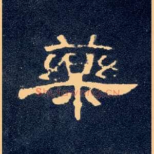 药