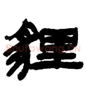 狸