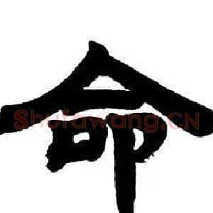 命