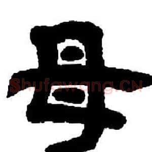 母