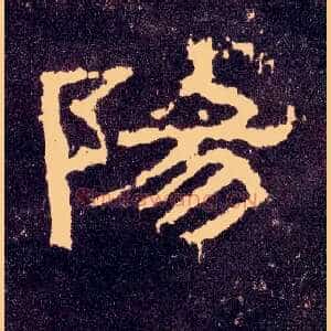 陽