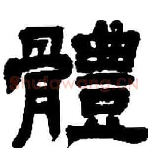體