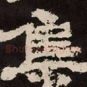 集