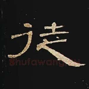 徒