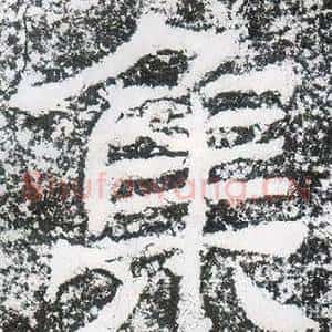 集