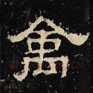 禽