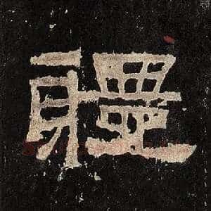 体