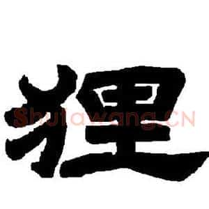 狸