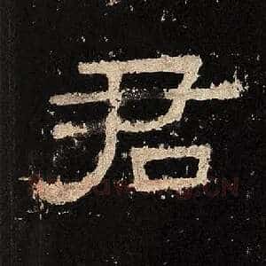 君