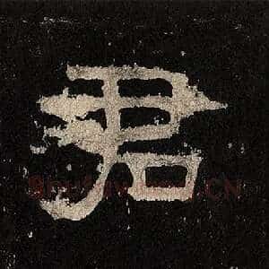 君
