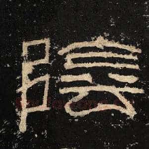 阴