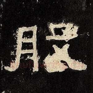 股