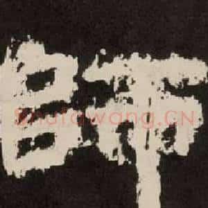 師