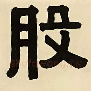 股