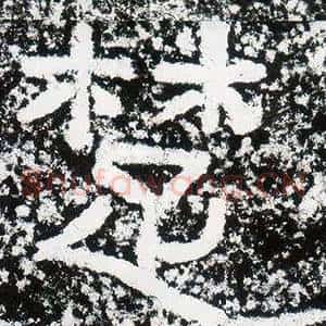 楚