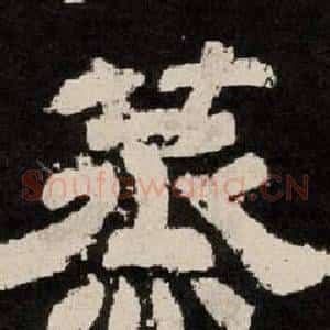 蒸