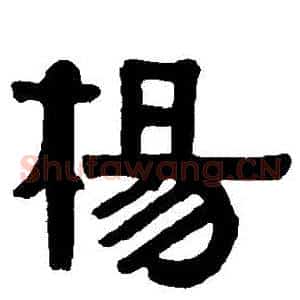 楊