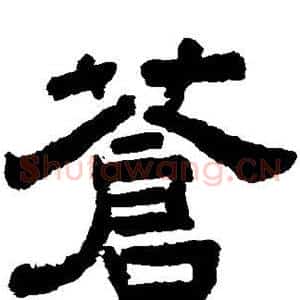 苍