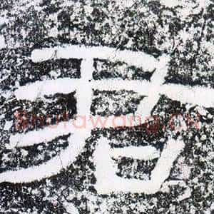 君