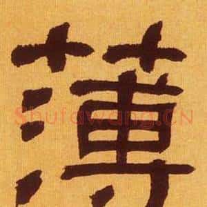 薄