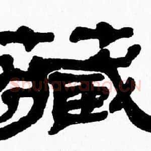 藏