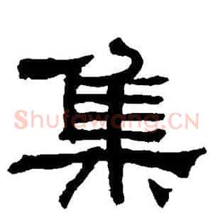 集