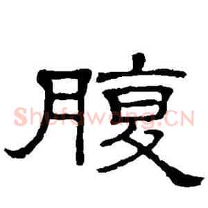 腹