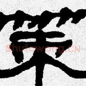 策