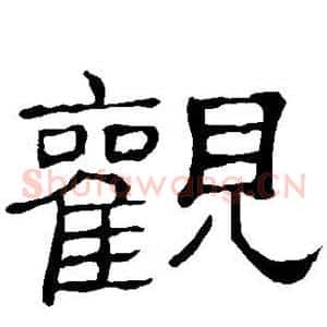 观