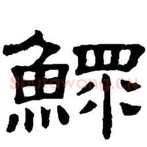 鰥