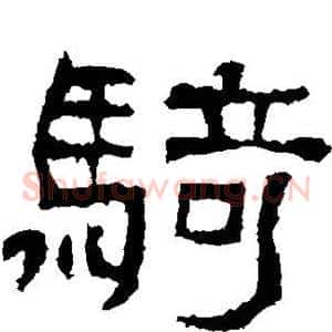骑