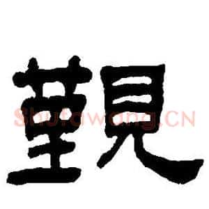 觐
