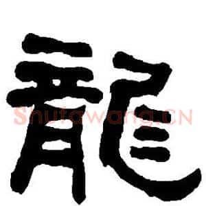 龙