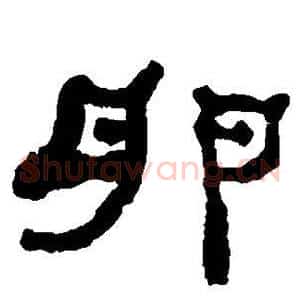 卵