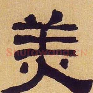 美